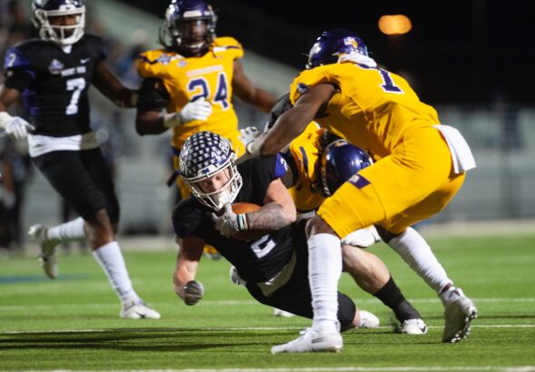 pexels-david-morris-2190188